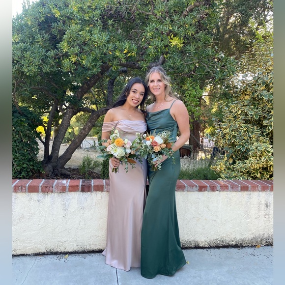 Birdy Grey Mia Dress Satin Taupe - Picture 8 of 8